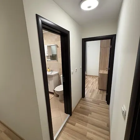 شقة Nikea 2 فيلينغراد